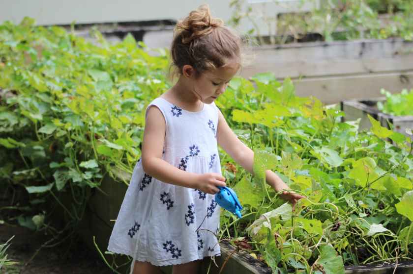 girl growing vegetables